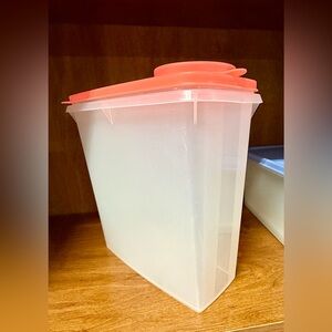 Tupperware Frosted Container with Coral Lid